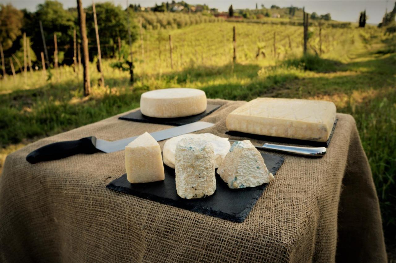 Agriturismo Fattoria Le Caprine Gambassi Terme Exteriör bild
