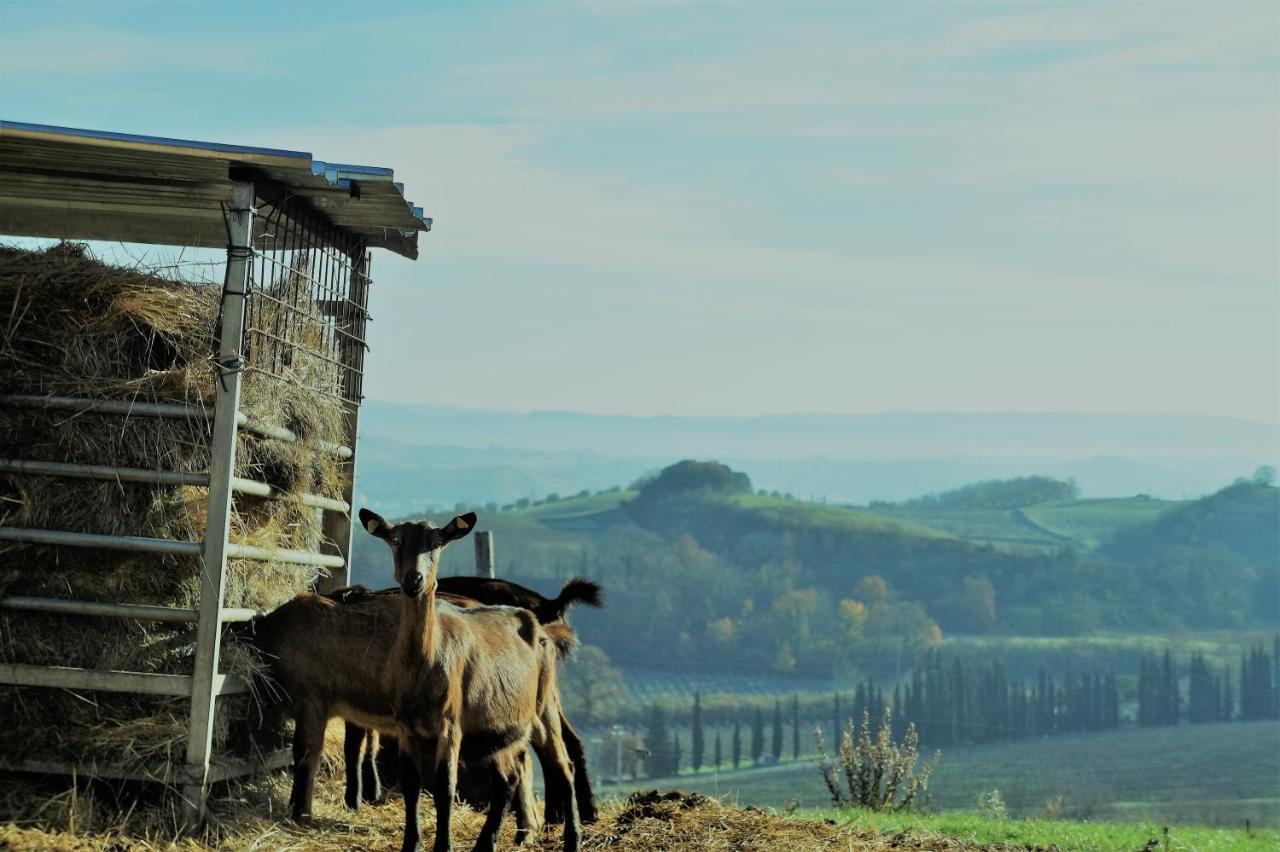 Agriturismo Fattoria Le Caprine Gambassi Terme Exteriör bild