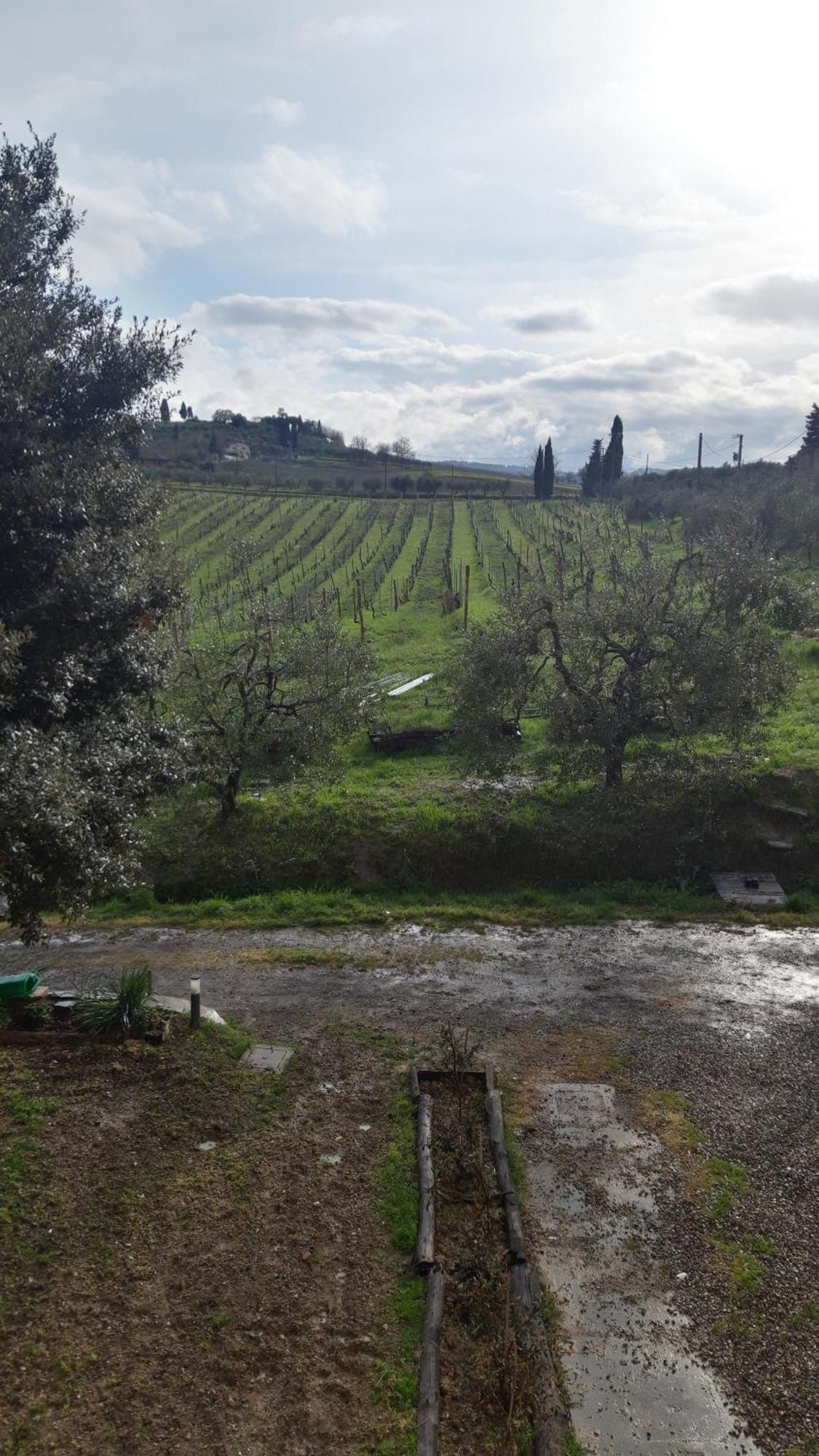 Agriturismo Fattoria Le Caprine Gambassi Terme Exteriör bild